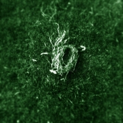 img_20120618_205318_edit0