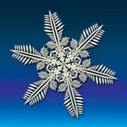 snowflake2